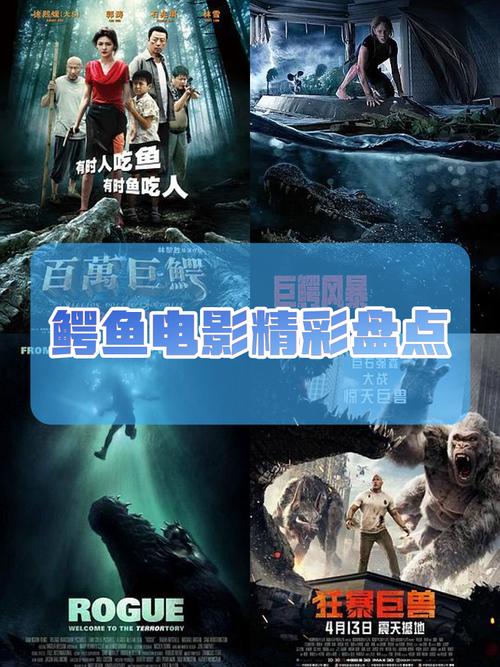 鳄鱼影视最新版