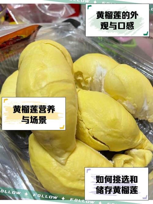 榴莲yellow资源在线