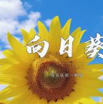 向日葵视频官网下载app官网下载安装