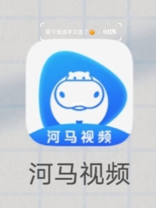 河马视频app官方网站入口