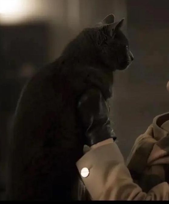 她她她电影免费观看完整版