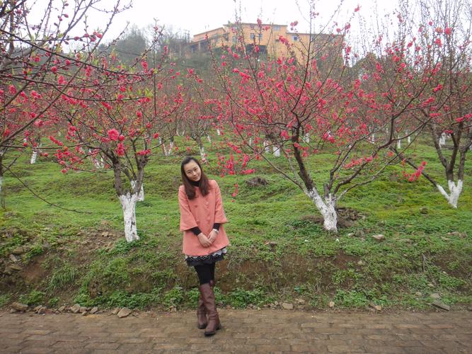 桃花社区在线观看免费观看