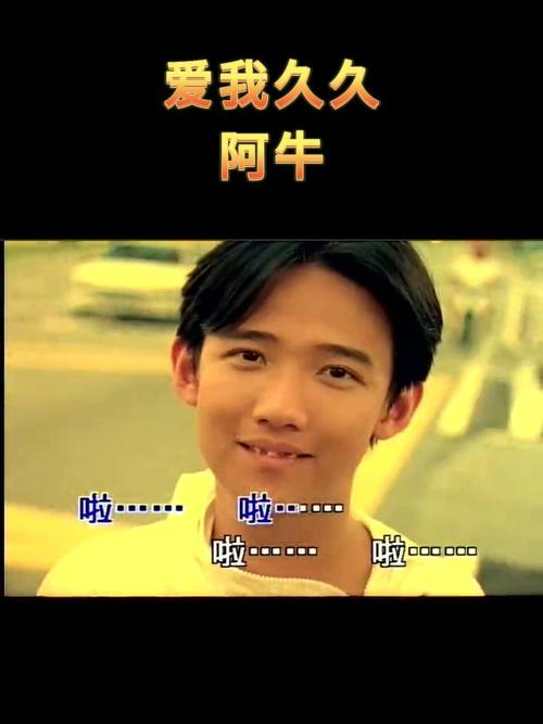 阿牛爱我视频