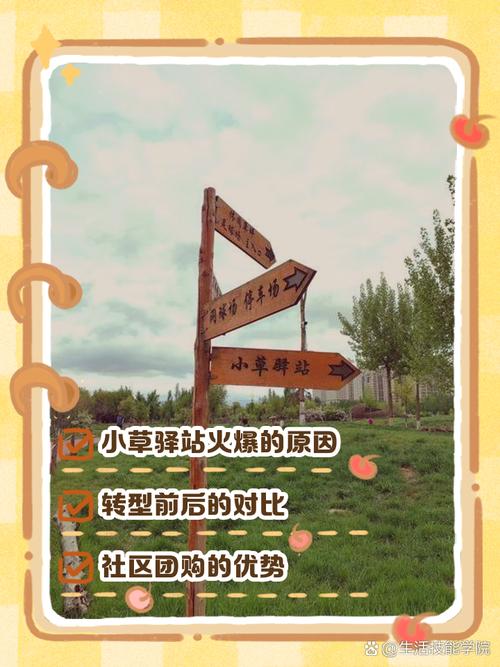 小草2020回家的路地址一