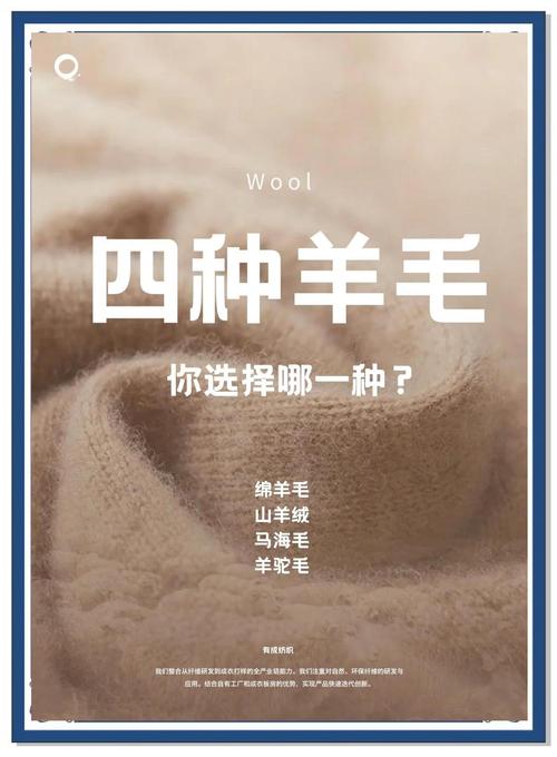 羊毛世界短视频官方最新版v1.0.0