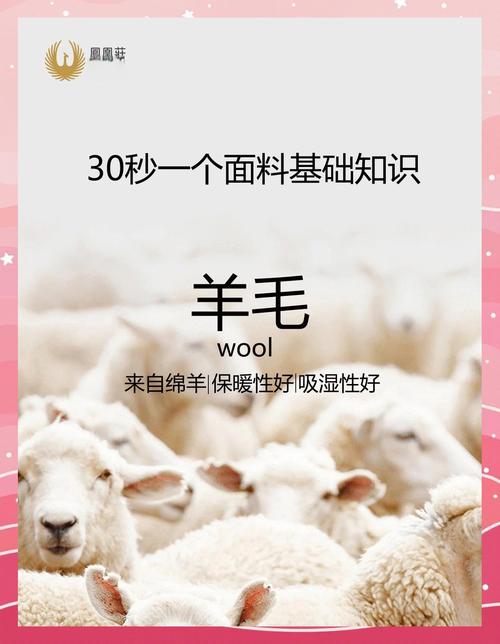 羊毛世界短视频官方最新版v1.0.0