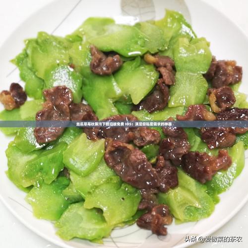 丝草莓秋葵茄子鸭脖下载污免费版