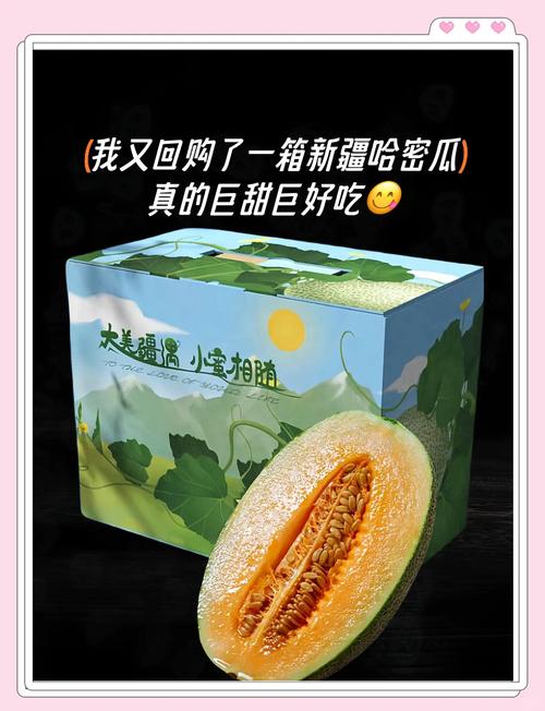 哈密瓜视频app懂你更多