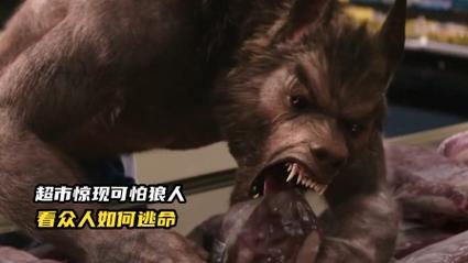 狼人视频在线打开