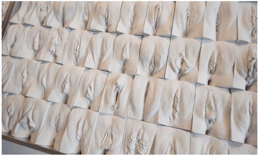 女子的阴阳口的样子