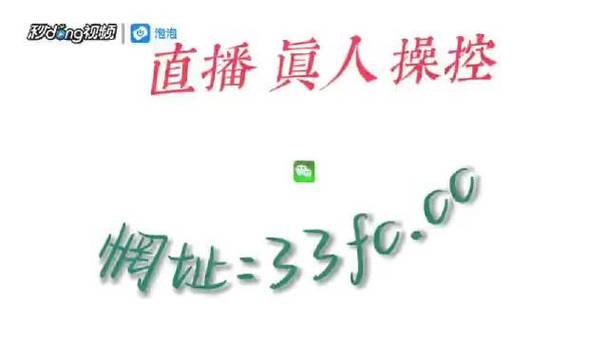 小科科直播高清版