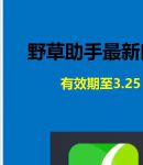 野草2023新地扯一二最新版