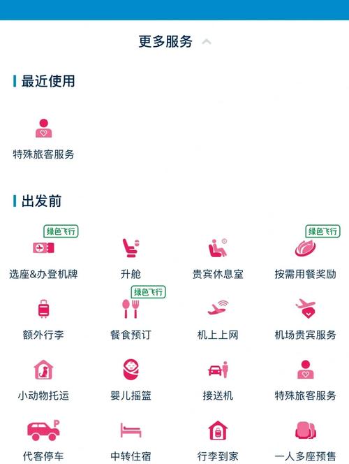 航班上的特殊服务BD在线观看