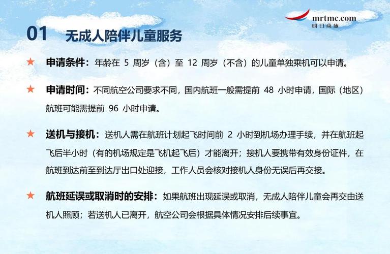 航班上的特殊服务BD在线观看