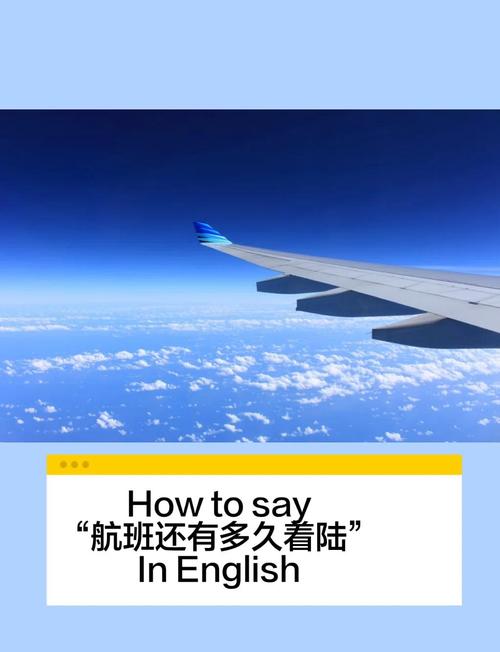 航班上的特殊服务BD在线观看