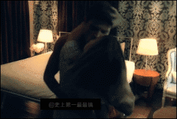 真人一进一出啪啪免费