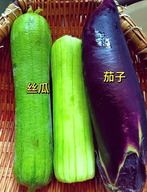 茄子黄瓜香蕉丝瓜榴莲番茄视频