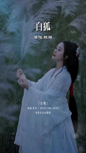 白狐影视传媒免费版