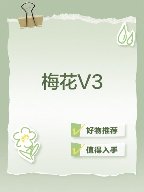 梅子视频自拍在线网站