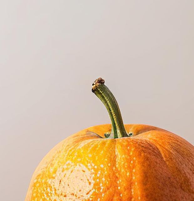 橙子视频1.5.0安卓版