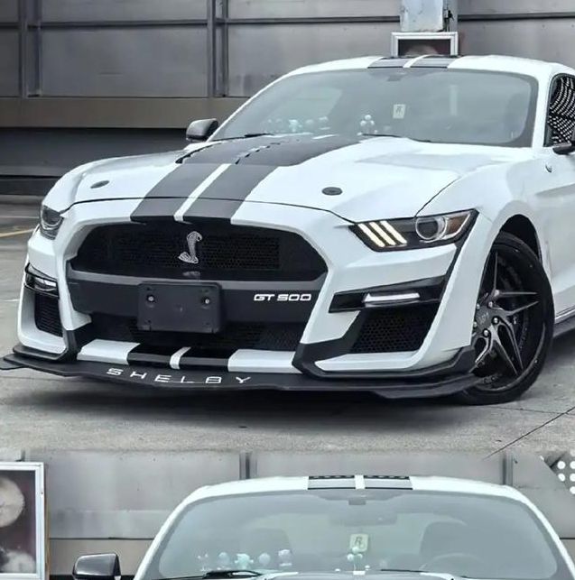 野马app下载地址