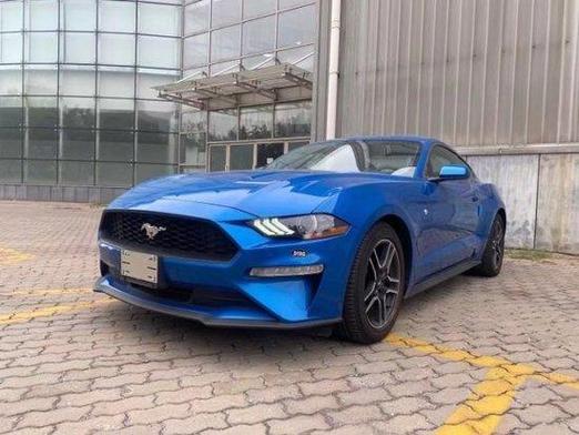 野马app下载地址