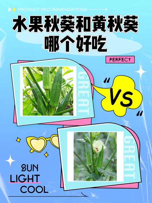 向日葵草莓秋葵黄瓜荔枝丝瓜ios