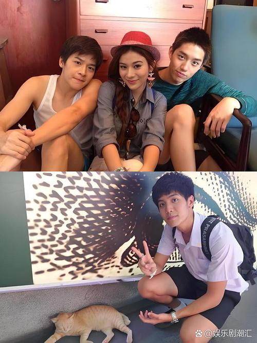 荷尔蒙视频在线观看免费