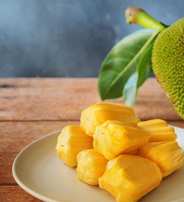 菠萝蜜夜间视频