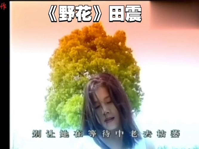 野花电影免费观看在线高清!