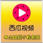 西瓜电影无限制版