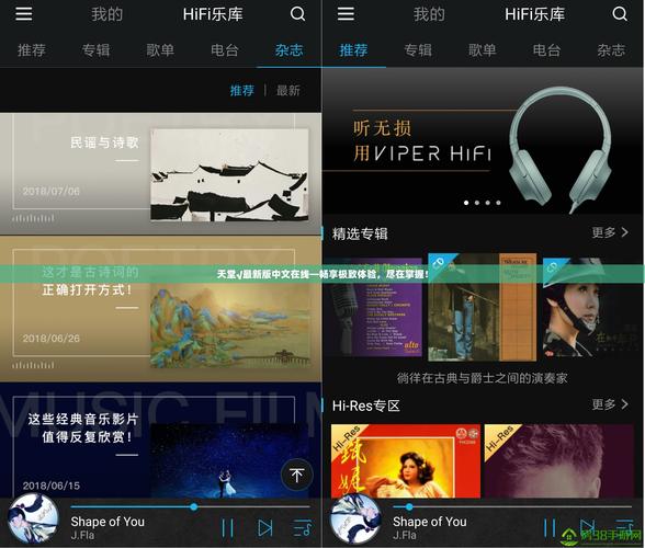 天堂在线最新版www