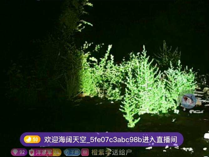 千度直播户外探险