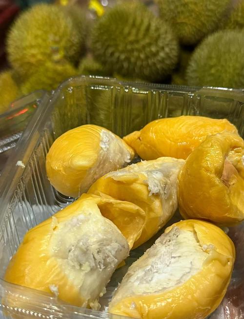 小蝌蚪丝瓜荔枝榴莲樱桃