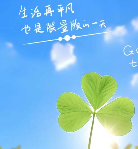 三叶草研究所安卓版