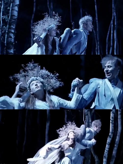 太太野花高清电影