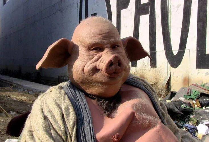 八戒八戒看片在线观看免费5