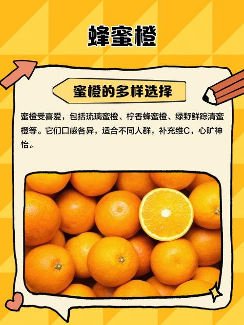 蜜橙app下载汅api免费下载