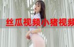 幸福宝芭乐小猪丝瓜解锁