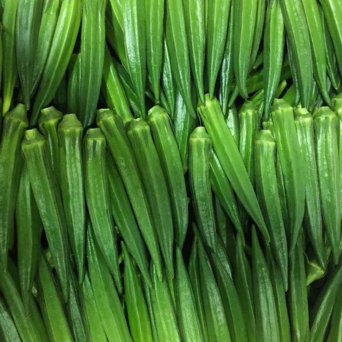 秋葵视频绿巨人视频黄瓜视频