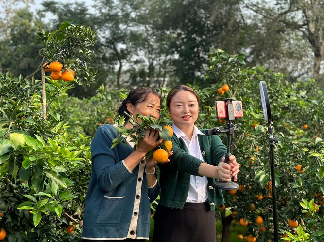 柑橘直播最火真人直播间