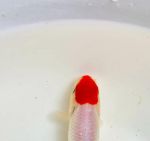 金鱼直播好看不等人