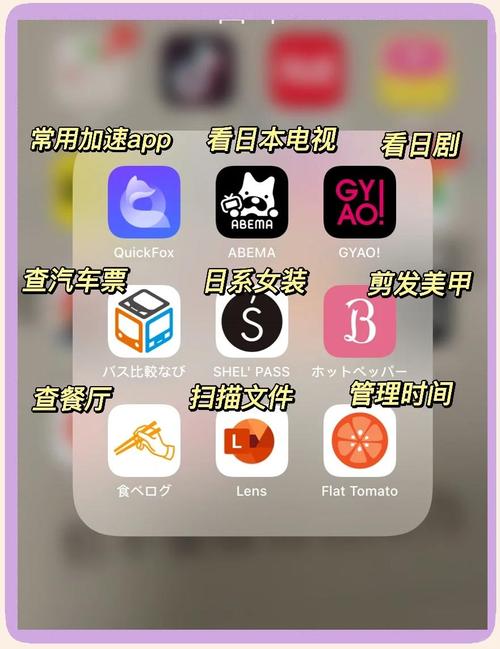 一个人视频日本APP