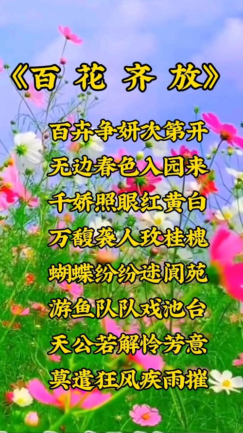 百花相约app安卓版