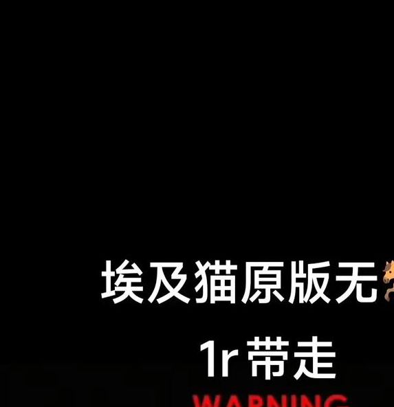 猫神短视频(附邀请码)最新版v1.0.1