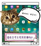 猫咪最新