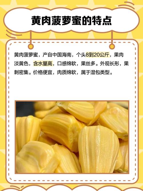 菠萝蜜app污污高清完整视频菠萝蜜app污免费