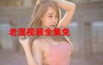 老湿视频免费x看