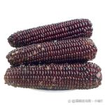 玉米视频成人免费看