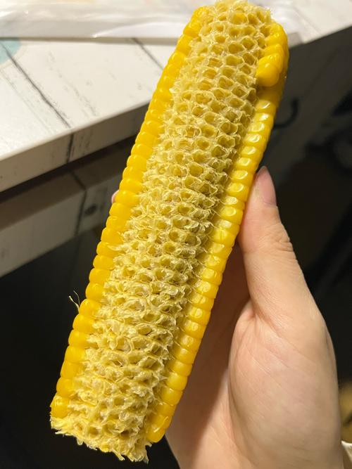 玉米视频成人免费看